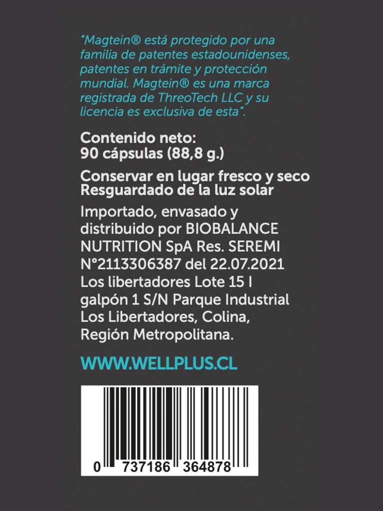 Neuromag03