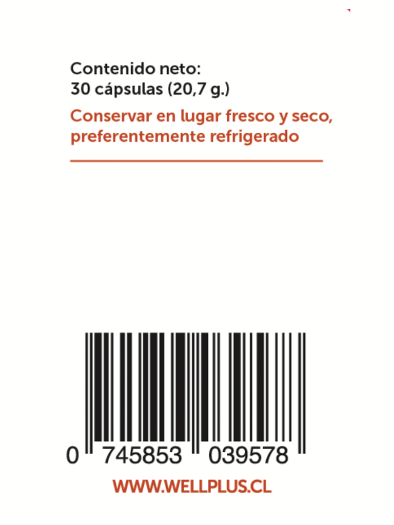 Energy-Cell_03