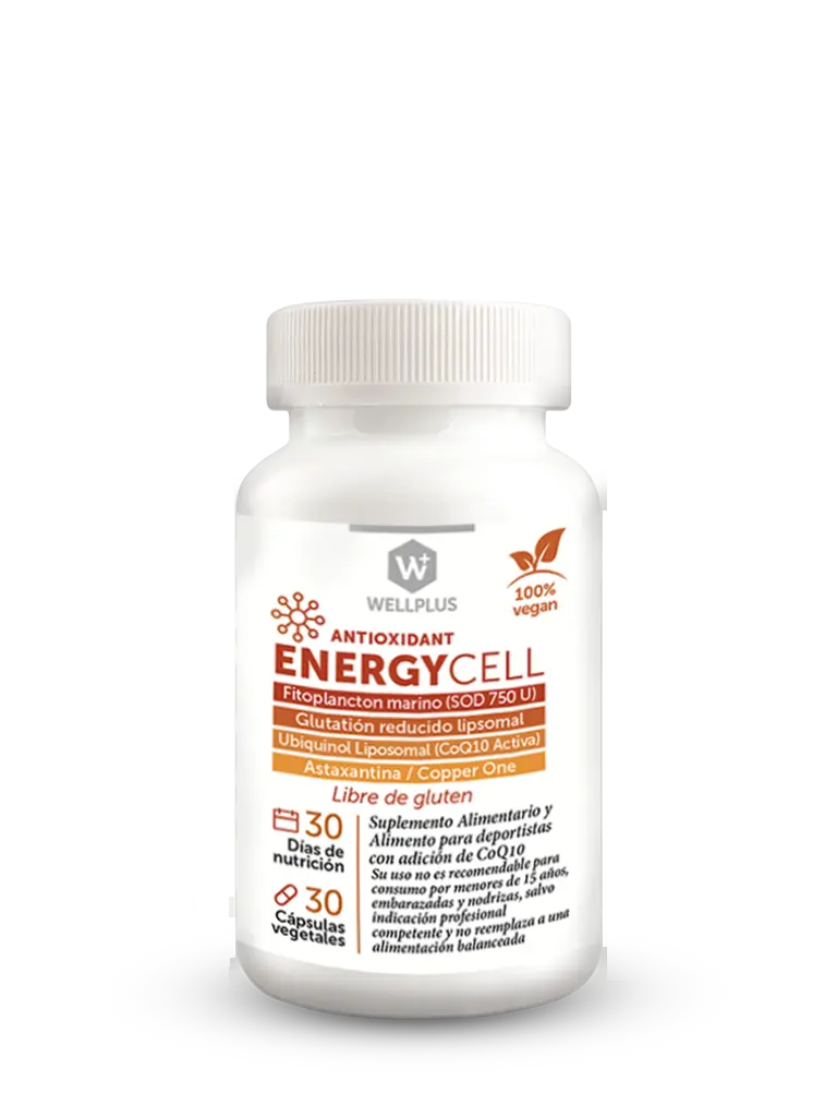 Energy-Cell_transp