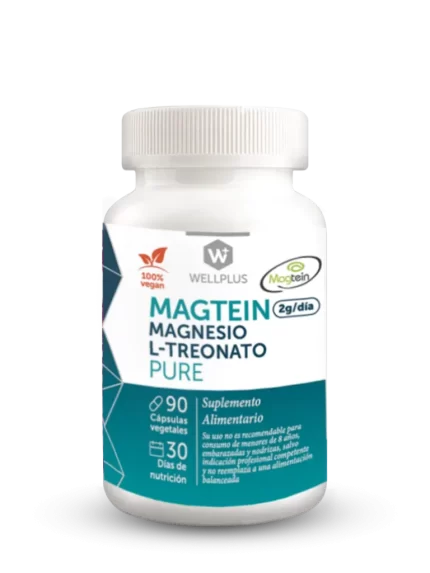 Magteinpro