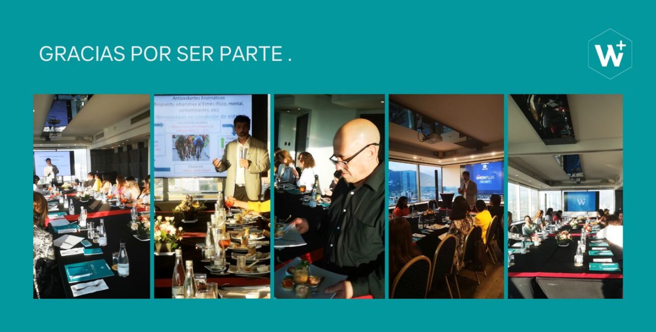 Antioxidantes011025.2